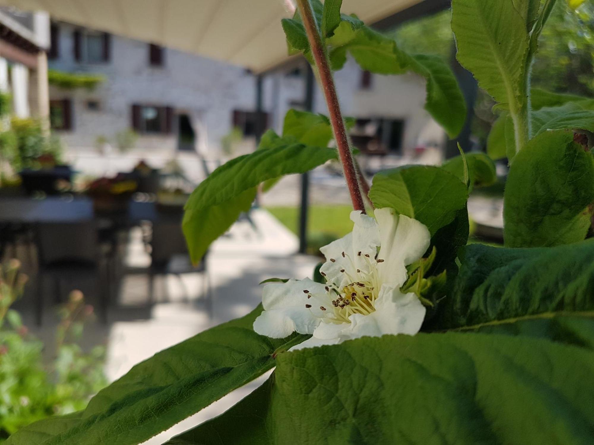 L'Isolo B&B E Case Vacanza Монцамбано Екстериор снимка